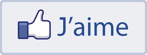 Page Facebook